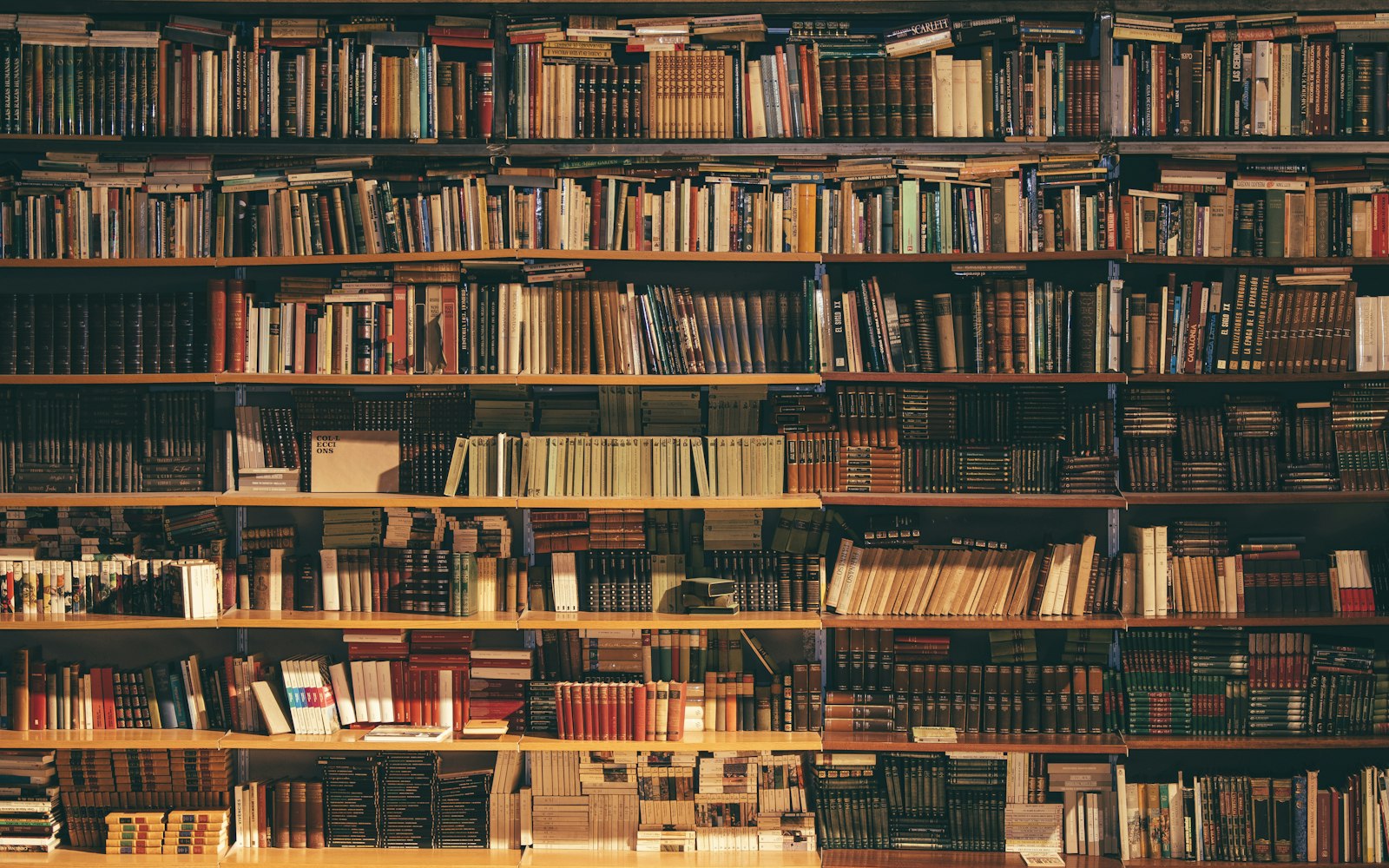 Floor-to-ceiling shelves filled with books